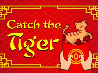 Catch The Tiger