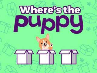 Wheres The Puppy